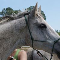 Elizabeth Schrock Photo 19