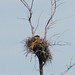 Dorothy Robinson Photo 32