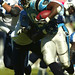 Stephen Davis Photo 12