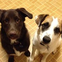 Debra Faulkner Photo 10