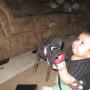 John Huntington Photo 39