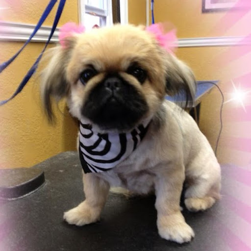 Andrea Campbell Photo 35 Andrea Campbell Photo 35