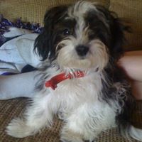 Robin Rutter Photo 4