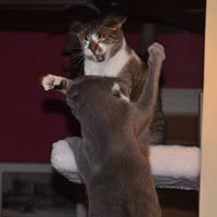 Jennifer Nevins Photo 11