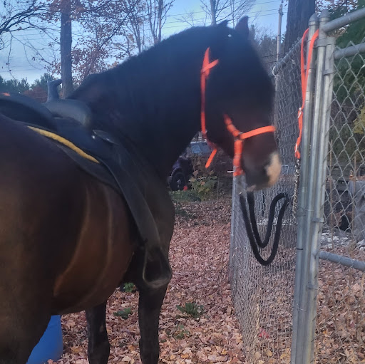 Barbara Colon Photo 17