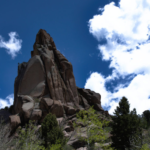 David Webster Photo 16 David Webster Photo 16