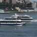 Tom Weiss Photo 43