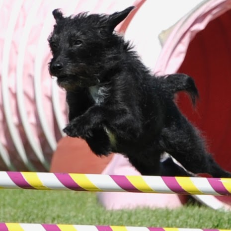 Martha Mcmurray Photo 6