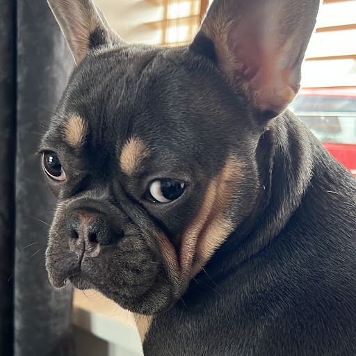 Jonathan Hardman Photo 5