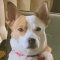 Ruthie Harrison Photo 4