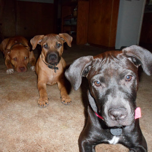 Richard Calhoun Photo 43 Richard Calhoun Photo 43