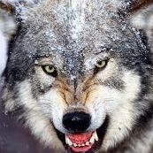 Kenneth Leblanc Photo 17