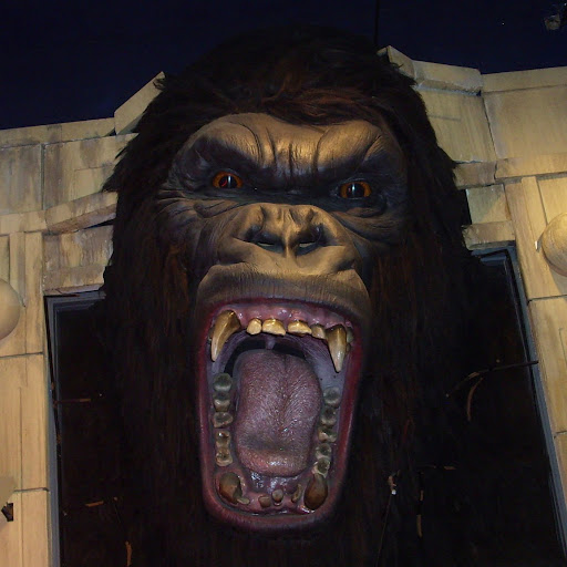 Herbert Wells Photo 8