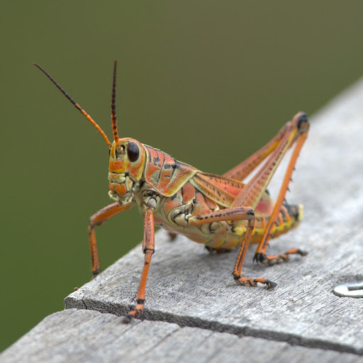 Brian Brodeur Photo 21