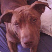 Brad Schaefer Photo 16