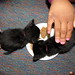 Annie Chester Photo 18