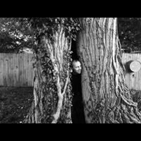 Steven Brothers Photo 24