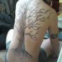 Matthew Dotson Photo 19