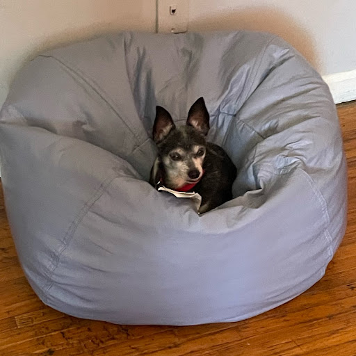 Janet Chandler Photo 30