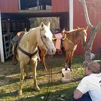 Roy Gillespie Photo 20