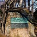 Susan Stowell Photo 27