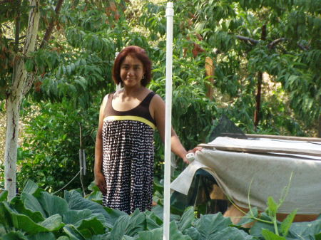 Evangelina Hernandez Photo 13