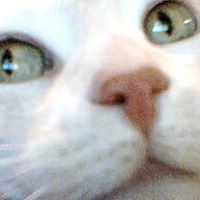 Savannah Russell Photo 5