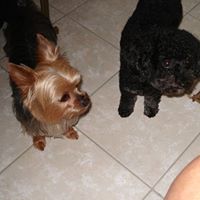 Mabel Johnson Photo 9