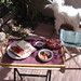 Nicole Shedd Photo 9