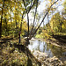 Amy Vermillion Photo 16