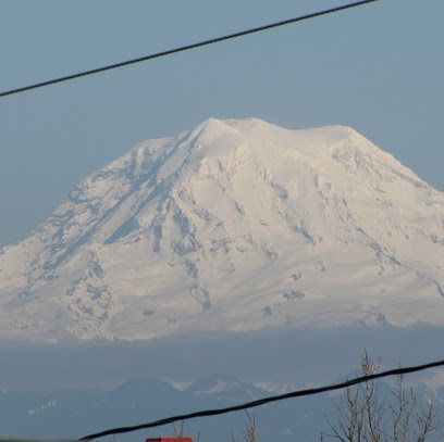 Paul Foreman Photo 25