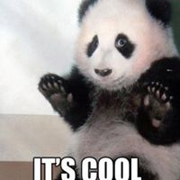 Miguel Pedro Photo 22