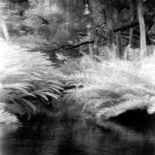 Alice Peters Photo 9