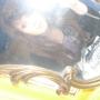 Ashleigh Parker Photo 28