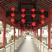 Hua Bai Photo 25
