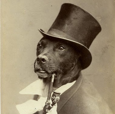 Matt Poland Photo 11