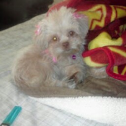 Jerry Cordero Photo 4