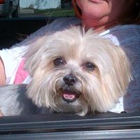 Cheryl Vincent Photo 10