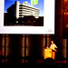 Michael Jansen Photo 38