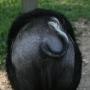 Debra Becker Photo 40