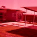 Sharon Donald Photo 2