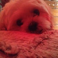 Marie Robinson Photo 22