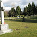 William Haney Photo 46