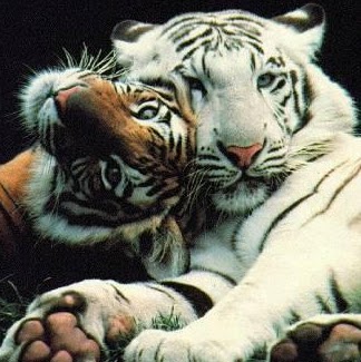 Brenda Savage Photo 17