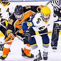 Robert Dalessandro Photo 7