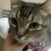 Connie Yang Photo 32