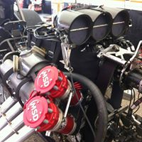 Douglas Muir Photo 28 Douglas Muir Photo 28