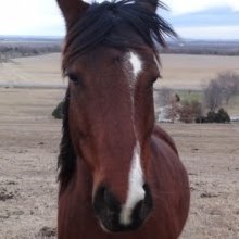 Hannah Rasmussen Photo 20