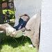 Richard Skelton Photo 30