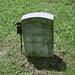 Baldwin Brown Photo 19